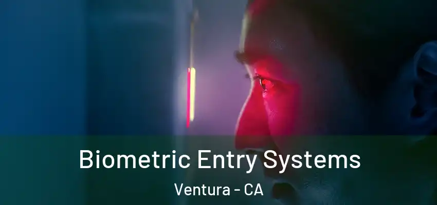 Biometric Entry Systems Ventura - CA