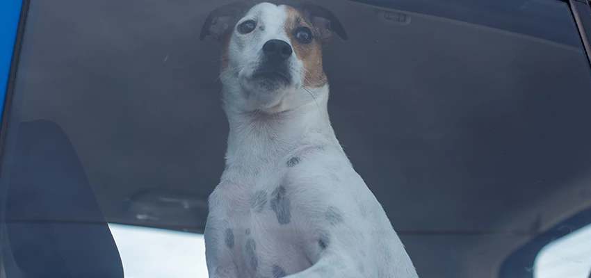 Car Lockout Solutions in Ventura, California